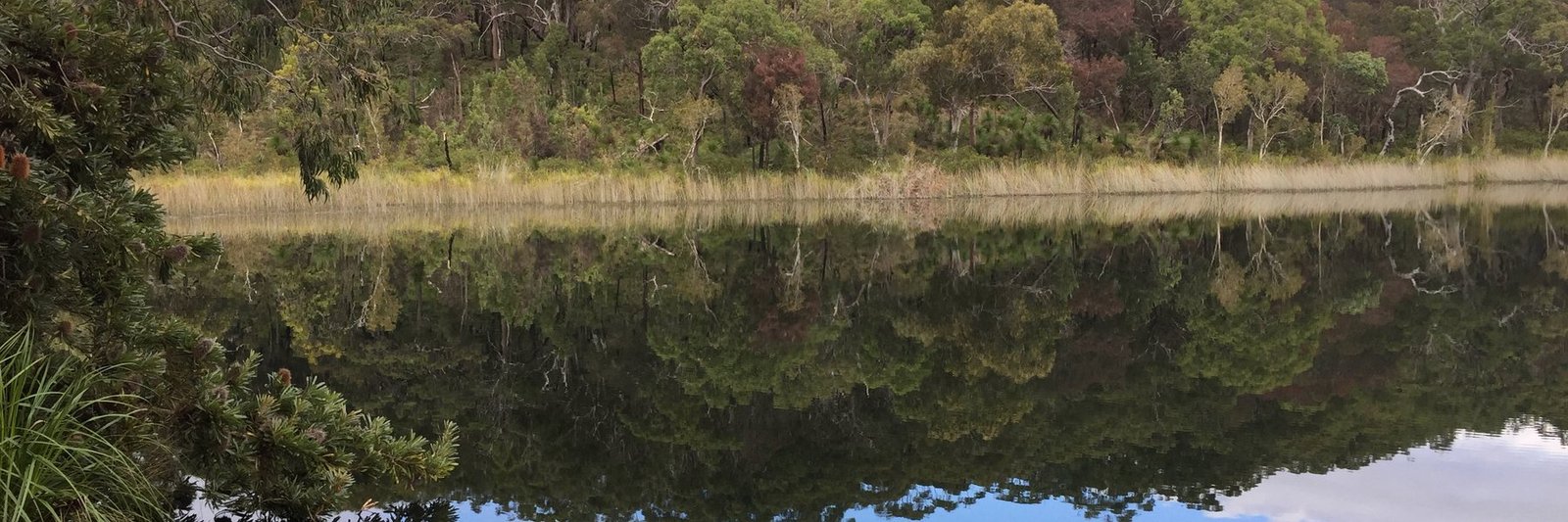 Blue Lake (Kaboora) on Minjerribah, North Stradbroke Island, south-east Queensland